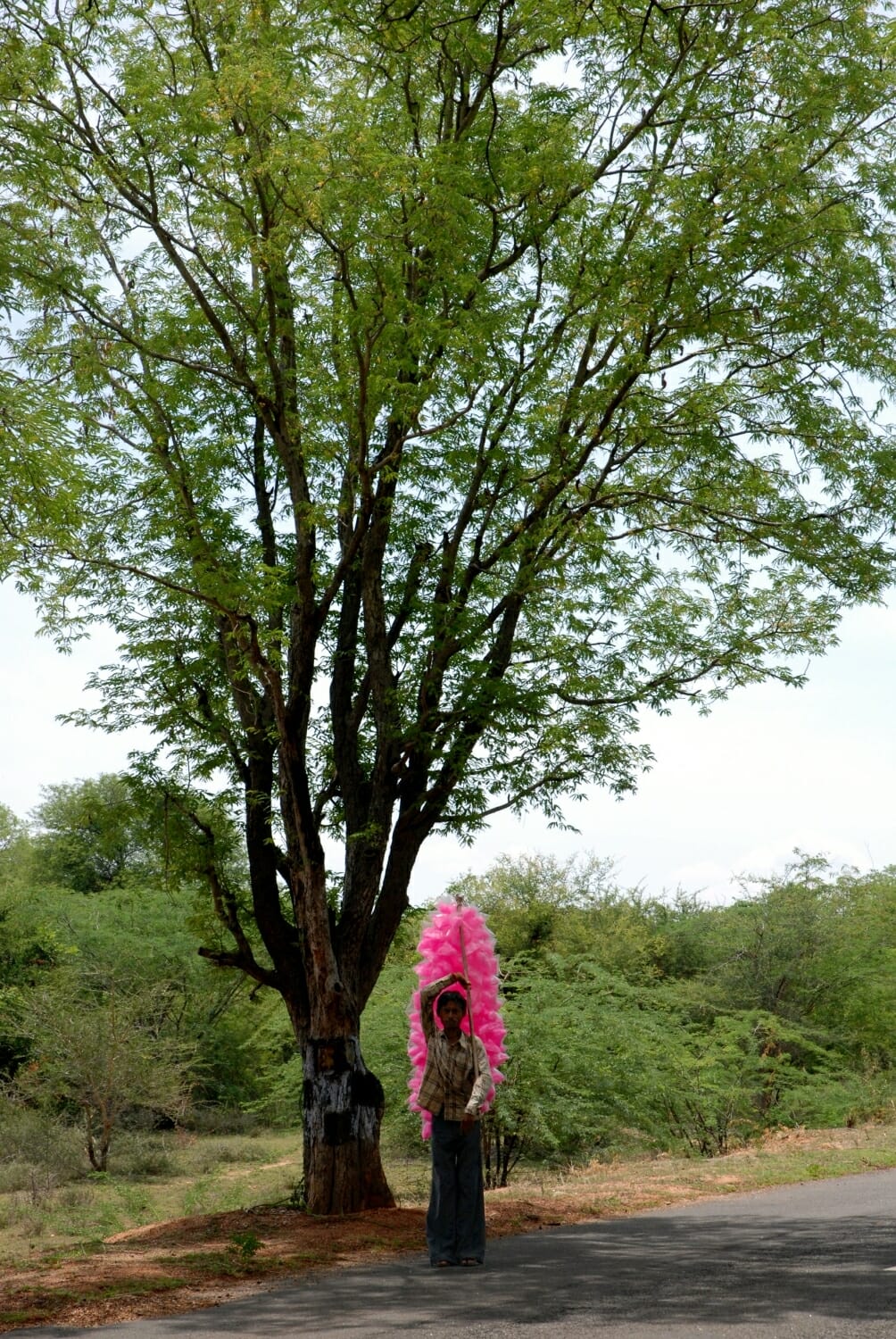 <span style="font-weight:normal;">Cotton Candy Seller, Tamil Nadu, 2010</span>